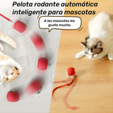 Ver imagen 2