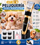 Ver imagen 2